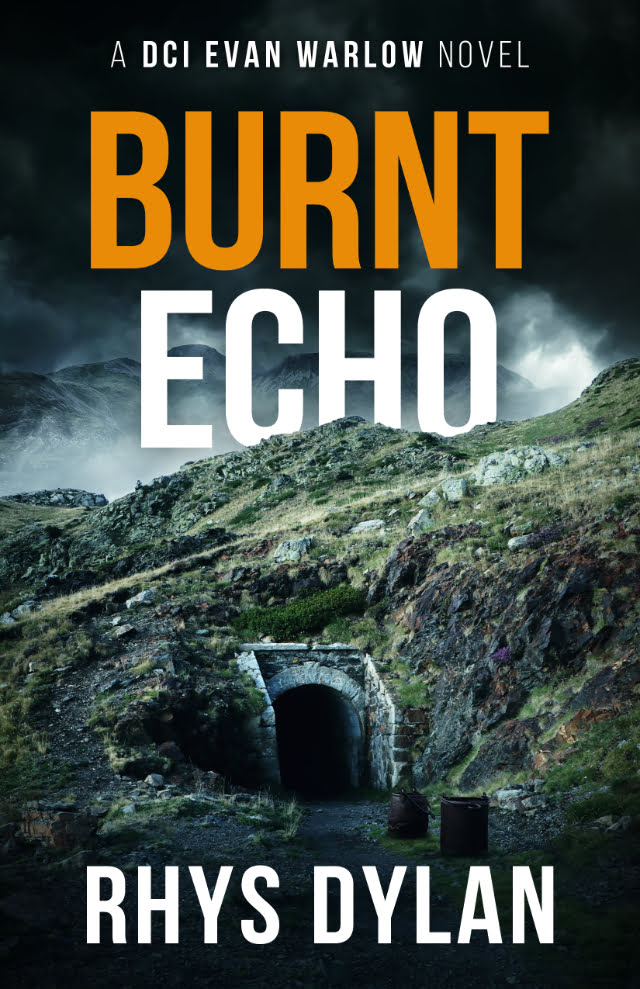 Burnt Echo Book